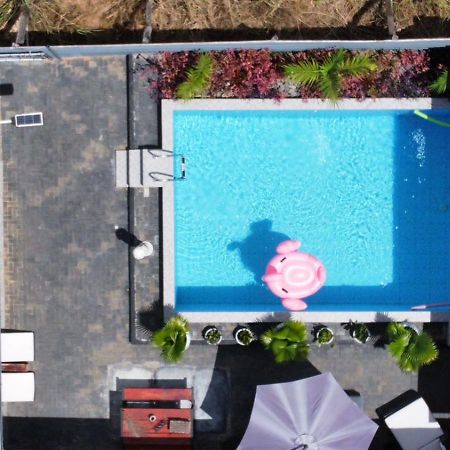 Tropical Appartement Paramaribo Luaran gambar
